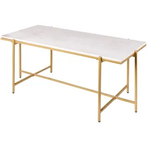 Anaya Elegance 18H x 46W x 22D Coffee Table