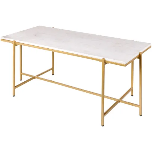 Anaya Elegance 18H x 46W x 22D Coffee Table