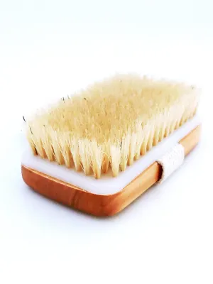 Dry Brush with Vegan Bristles