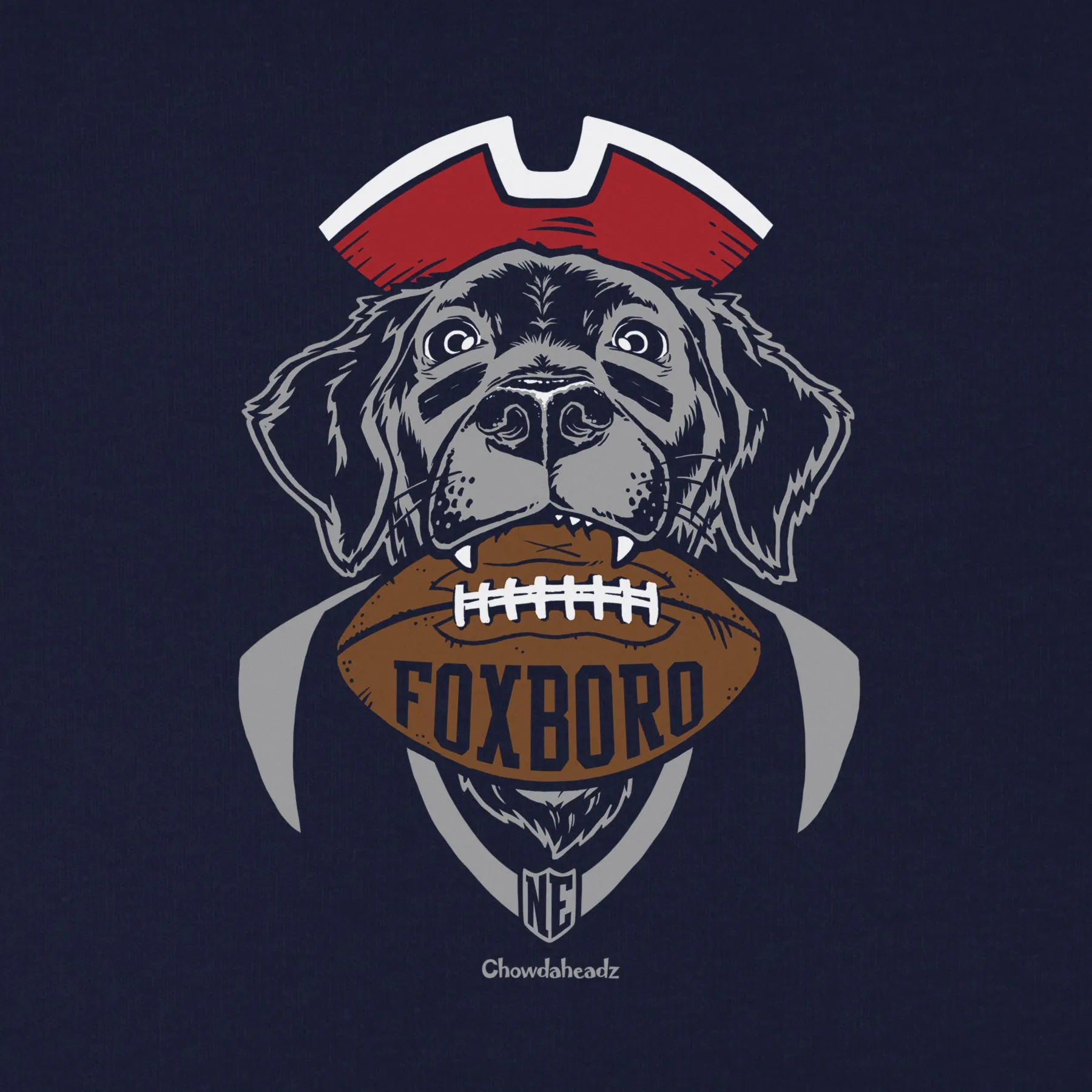 Foxboro Football Dog Youth Hoodie
