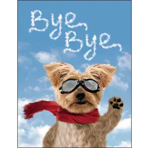 Goodbye Card: DOGGONIT! I MISS YOU ALREADY!