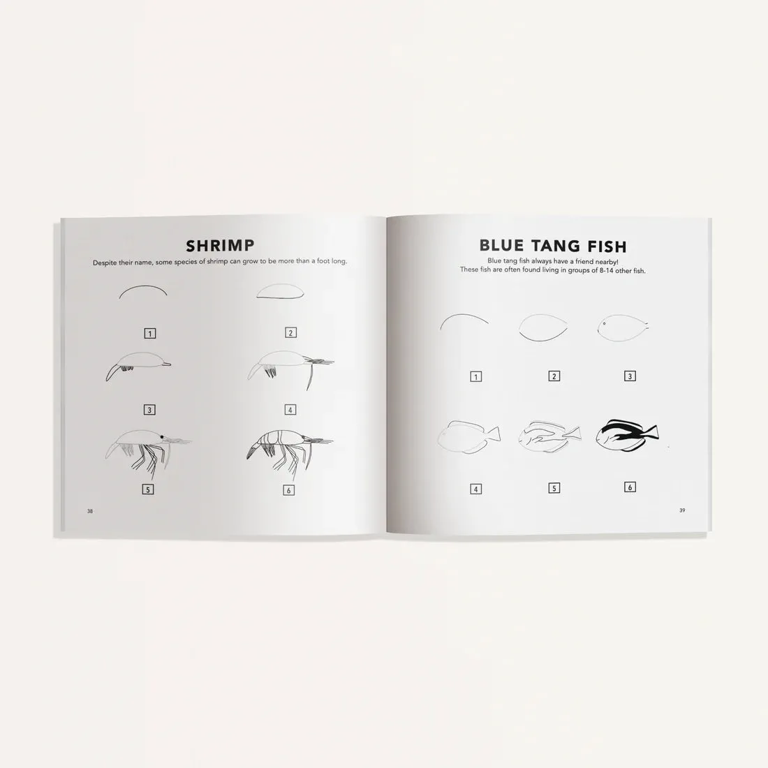 How To Draw Book