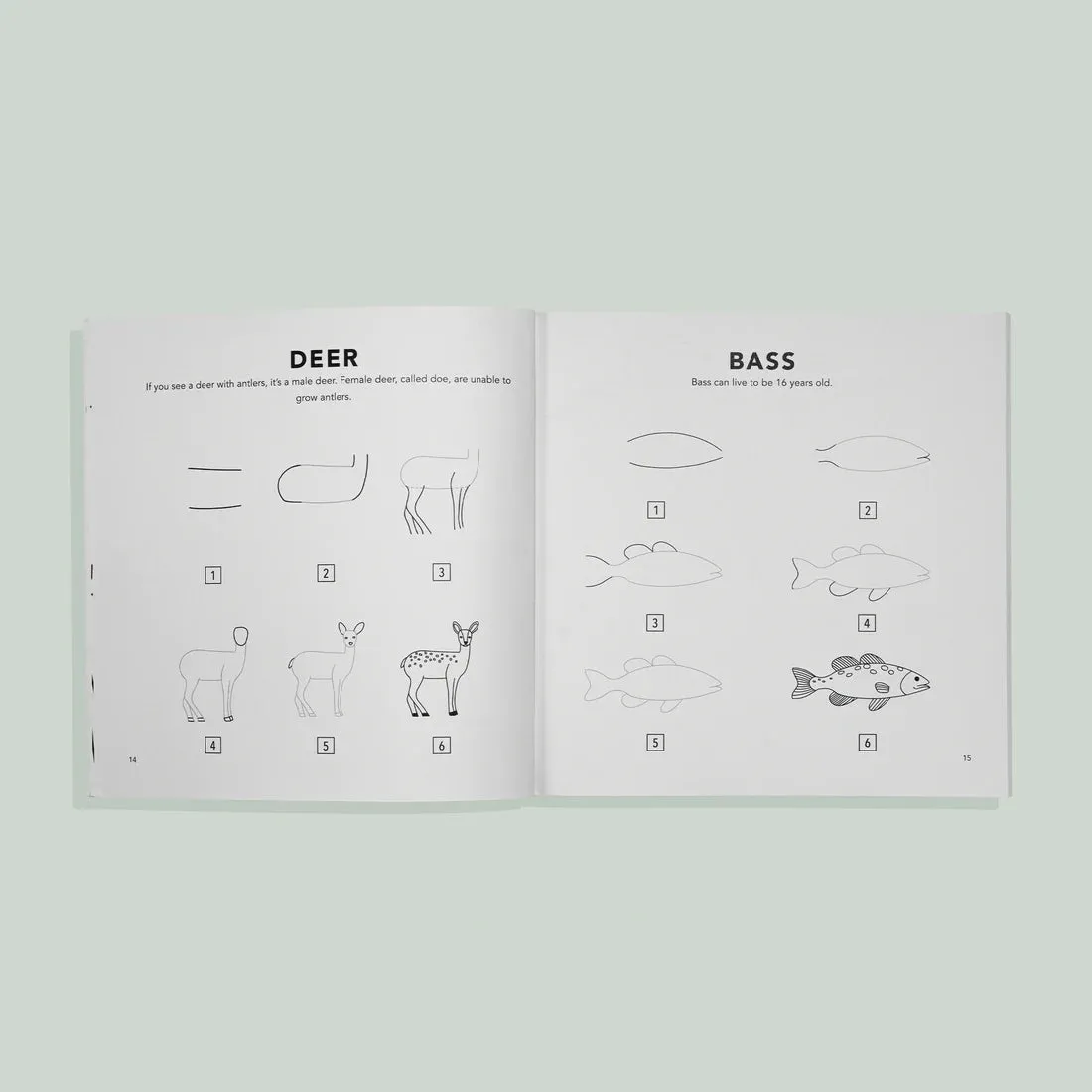 How To Draw Book