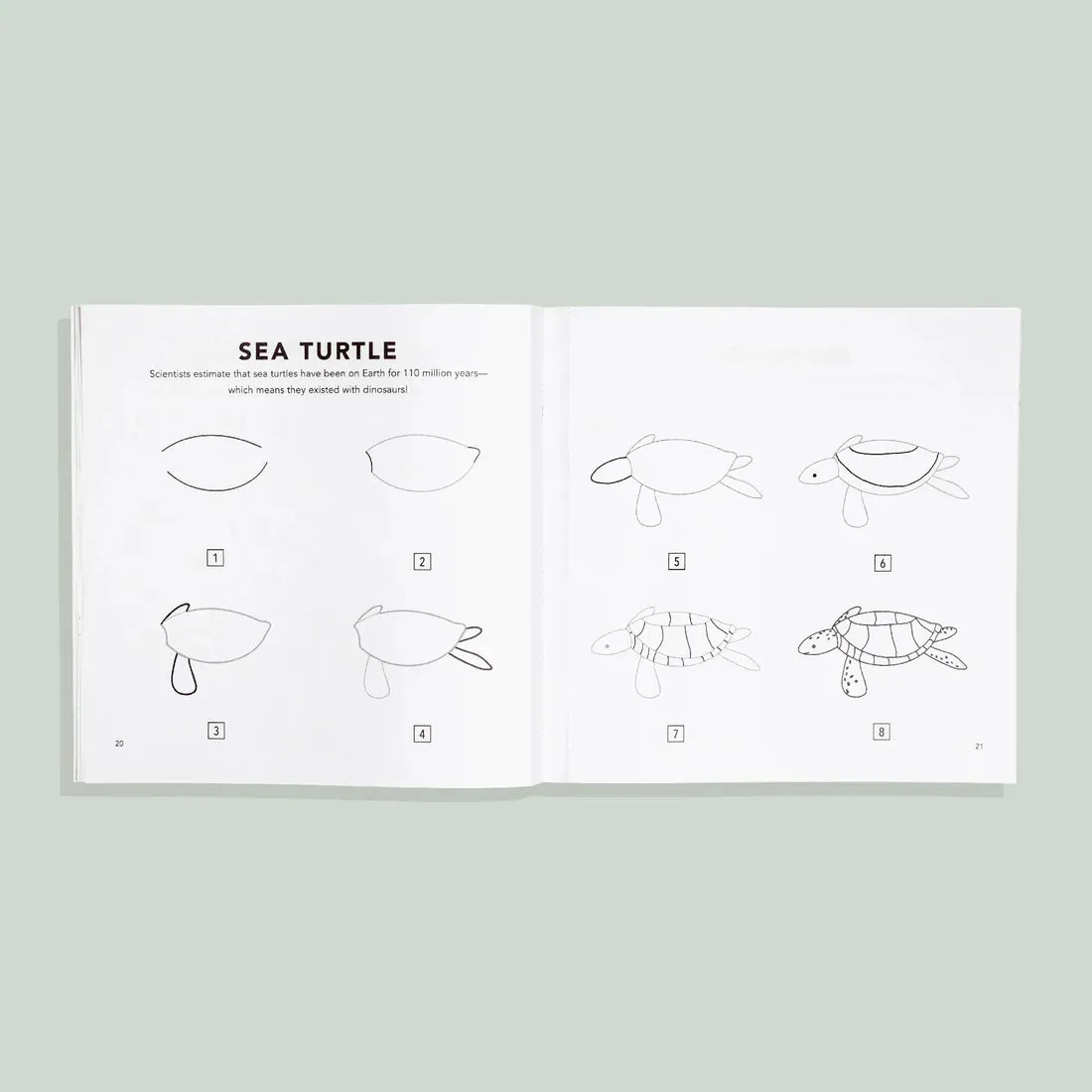 How To Draw Book