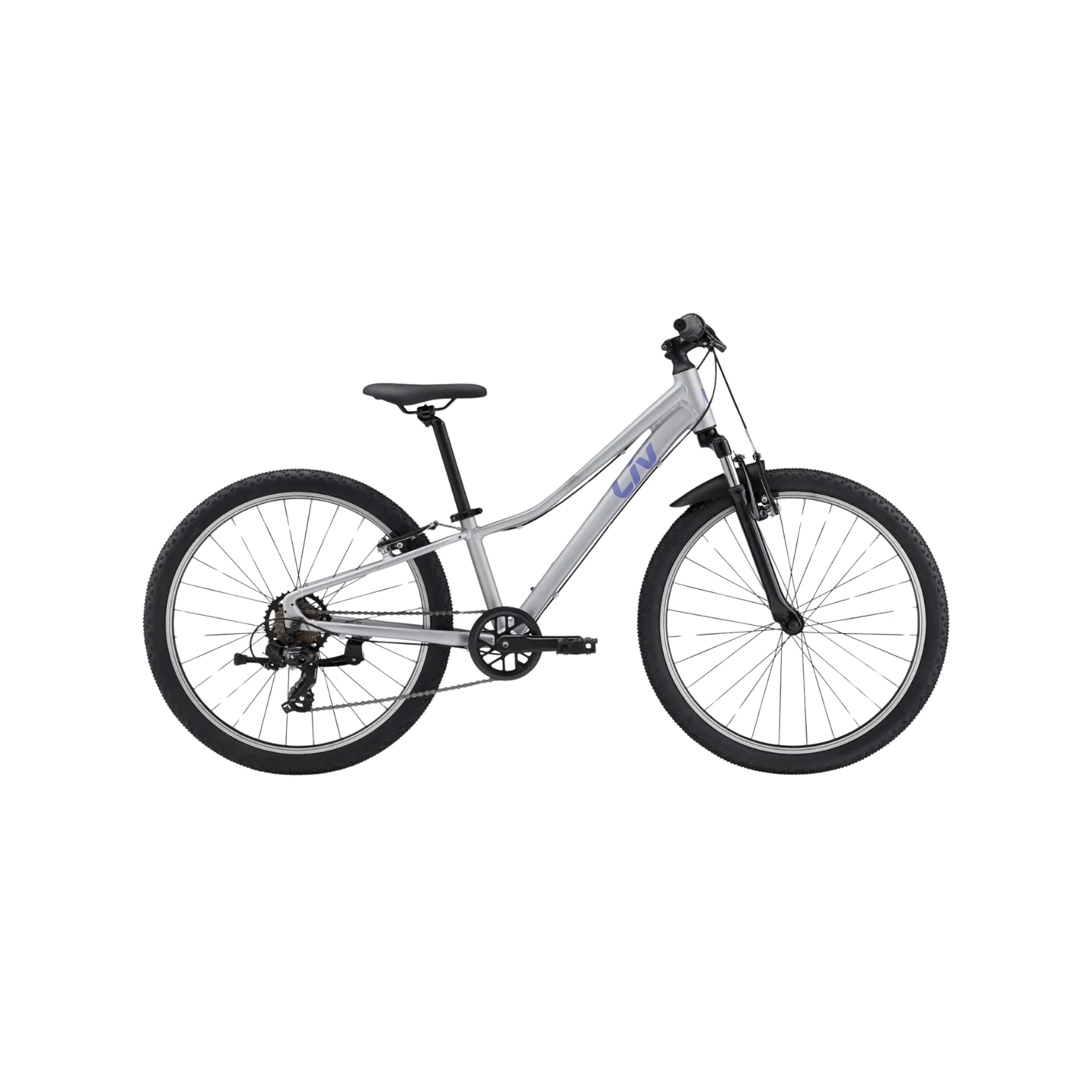 Liv Tempt 24 Mountain Bike - Silver
