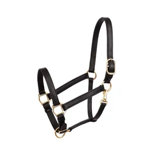 Perri's Leather 1" Leather Turnout Halter