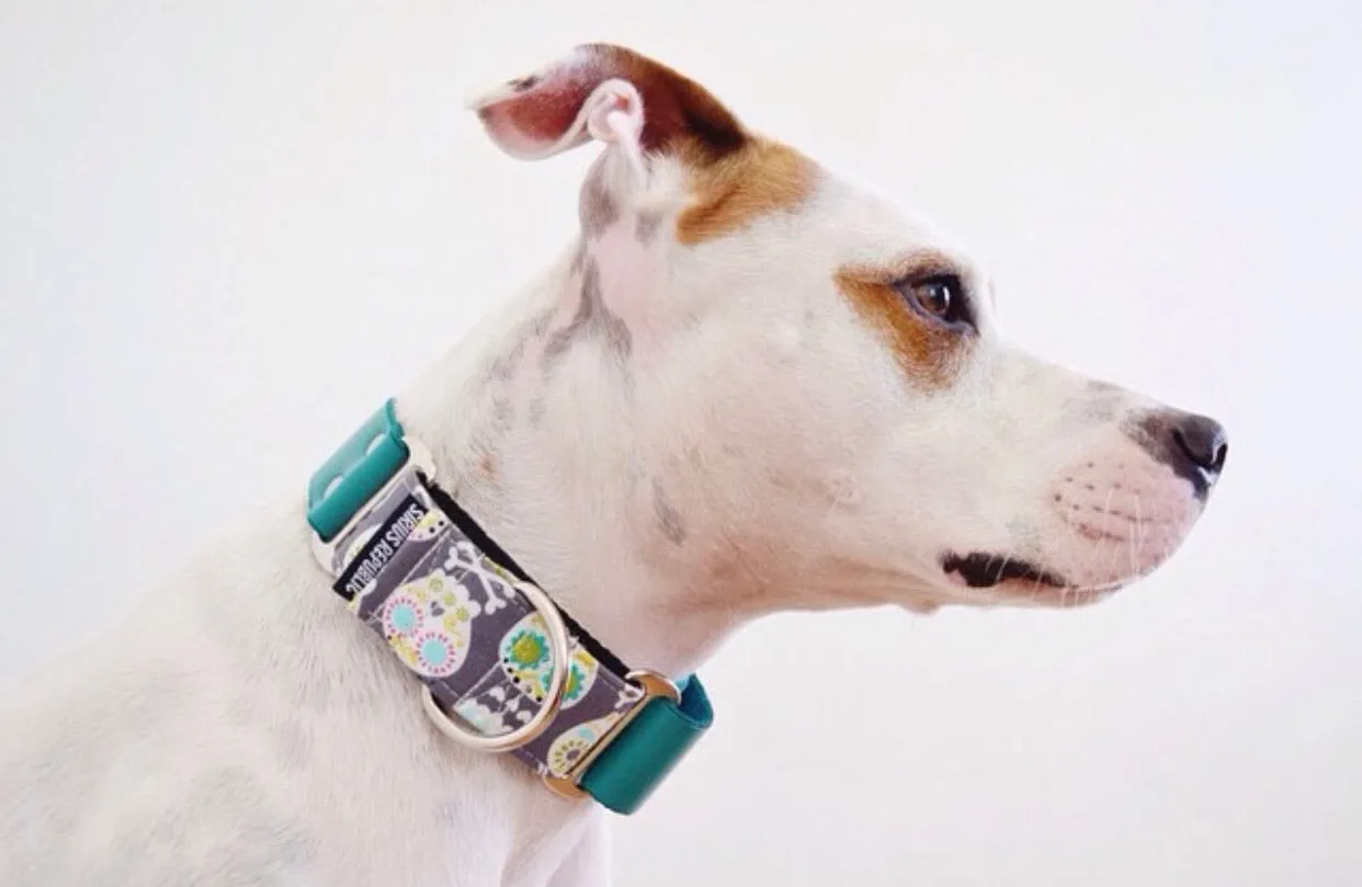 PRISMArtingale Collars