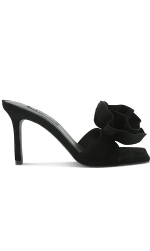 SENSO | Harlow