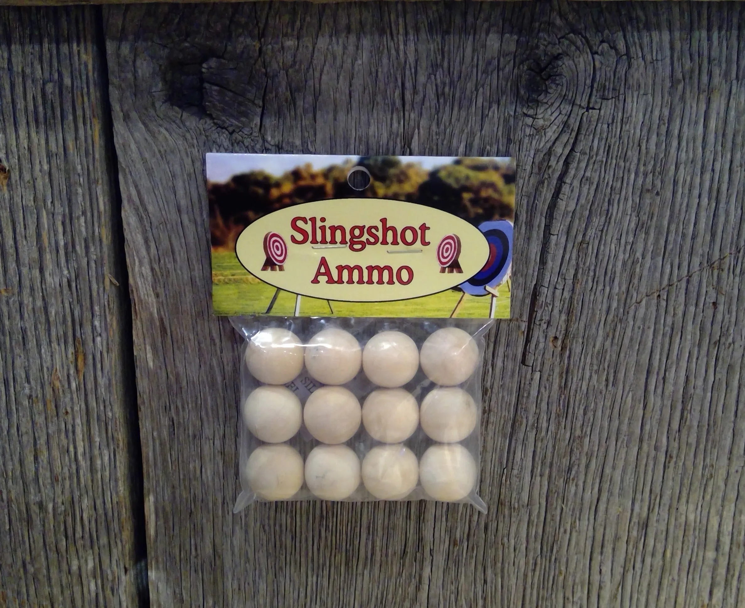 Slingshot Ammo