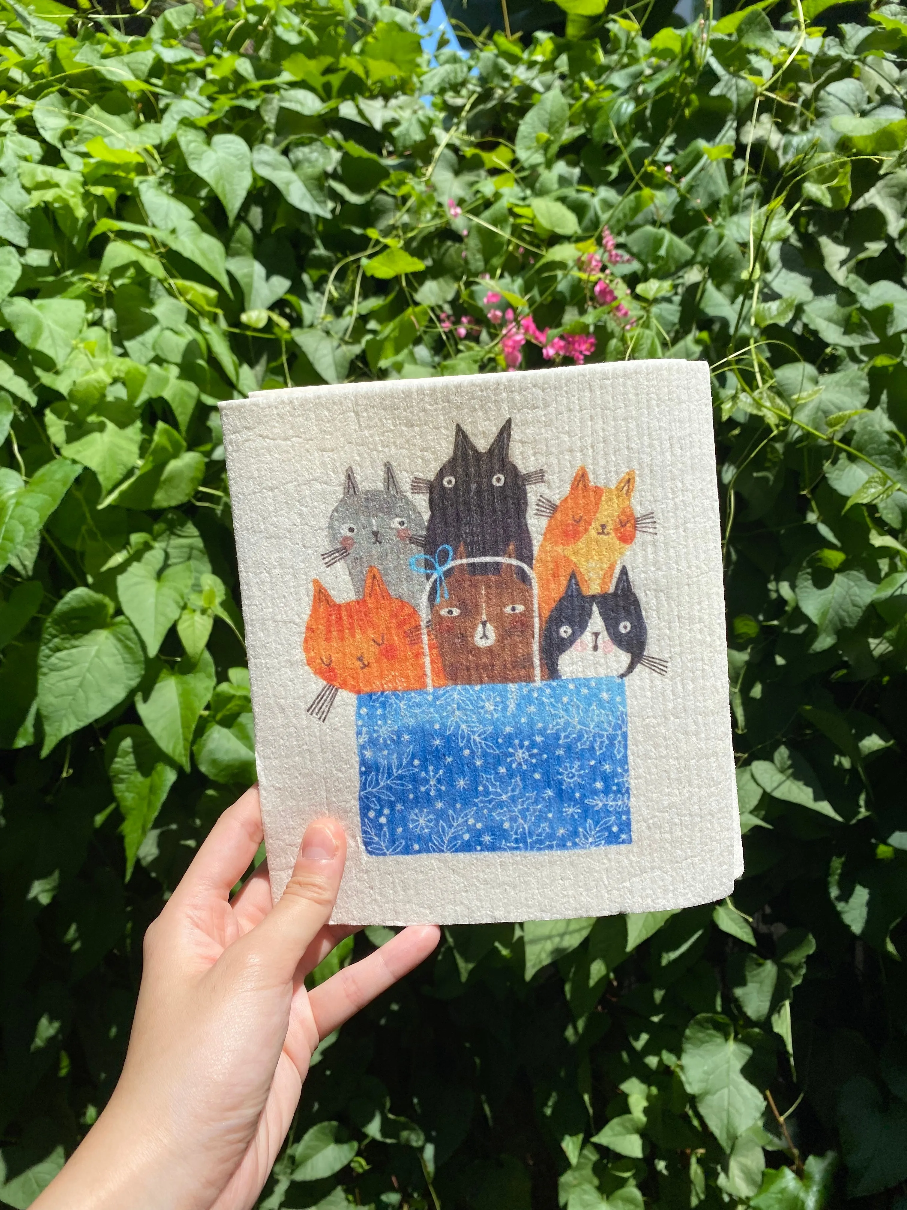 Sponge Cloth - LM
