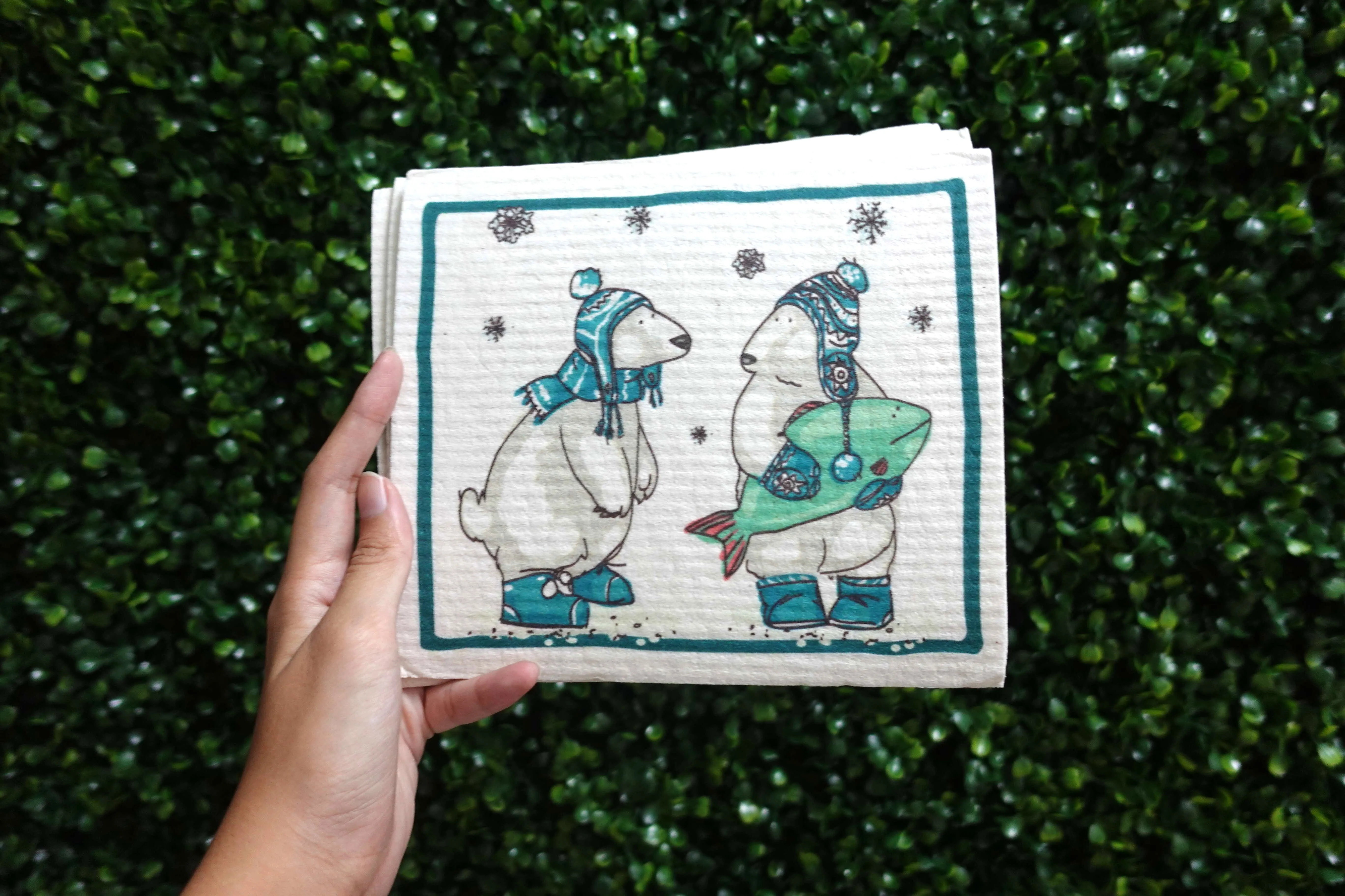 Sponge Cloth - LM