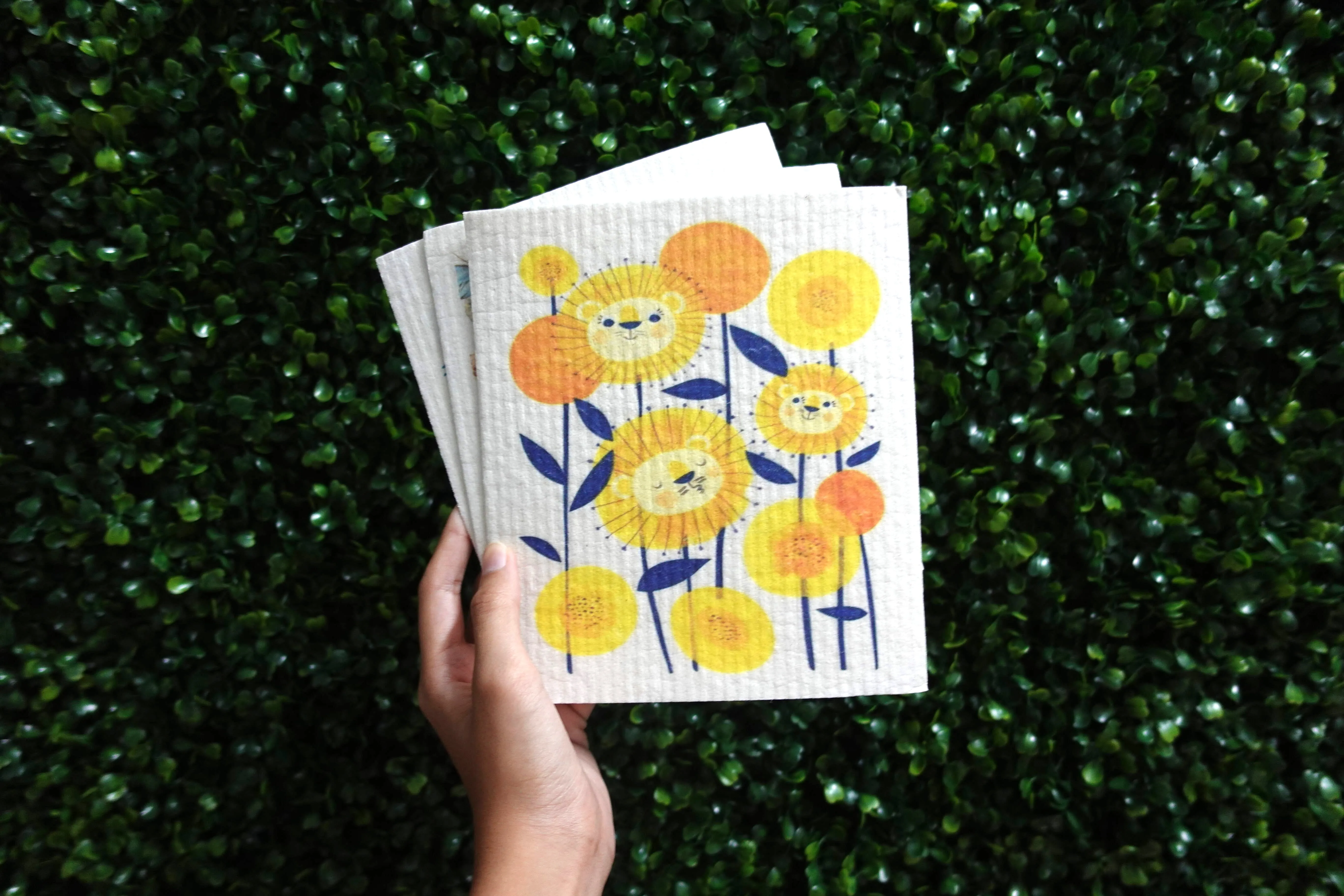 Sponge Cloth - LM