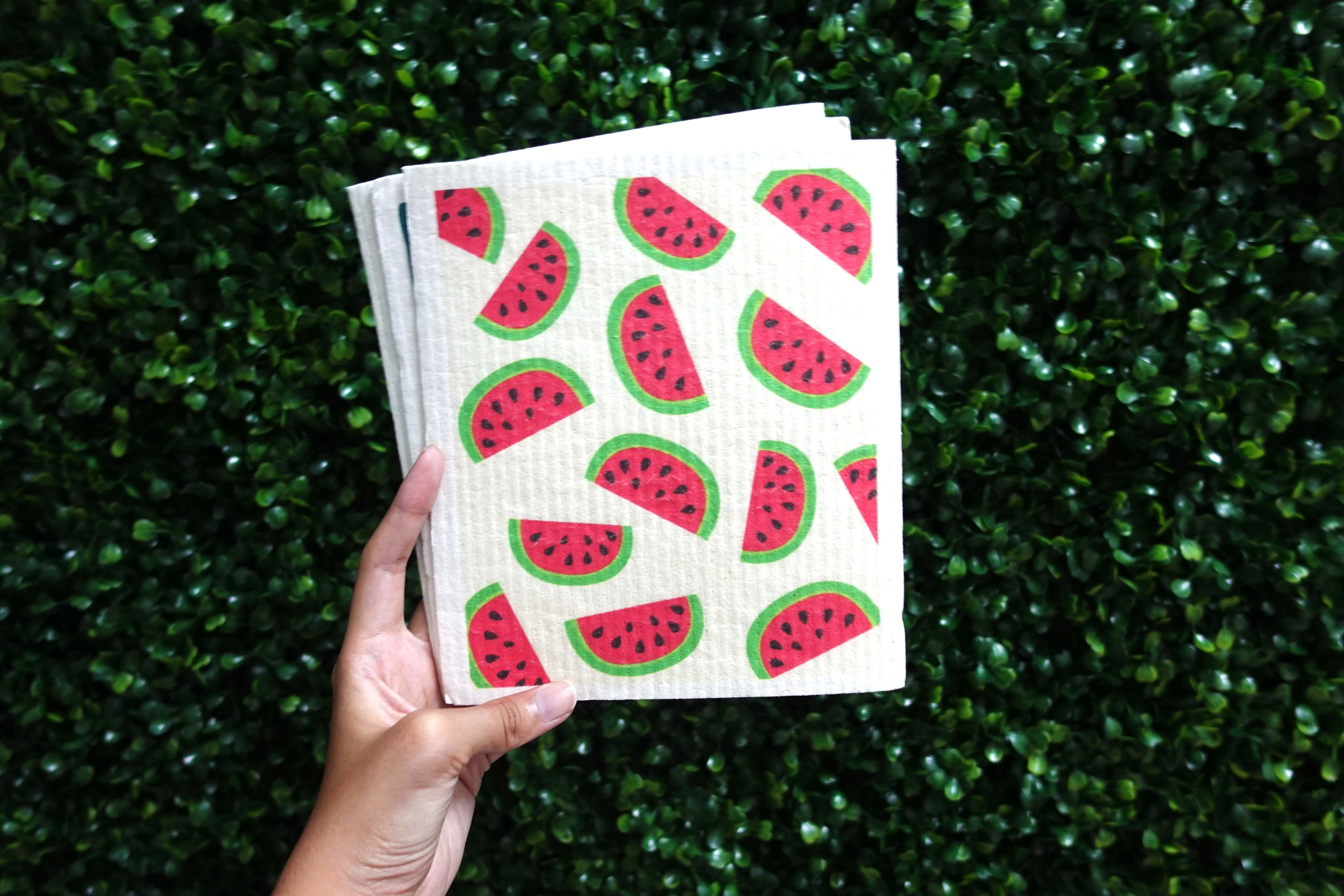 Sponge Cloth - LM