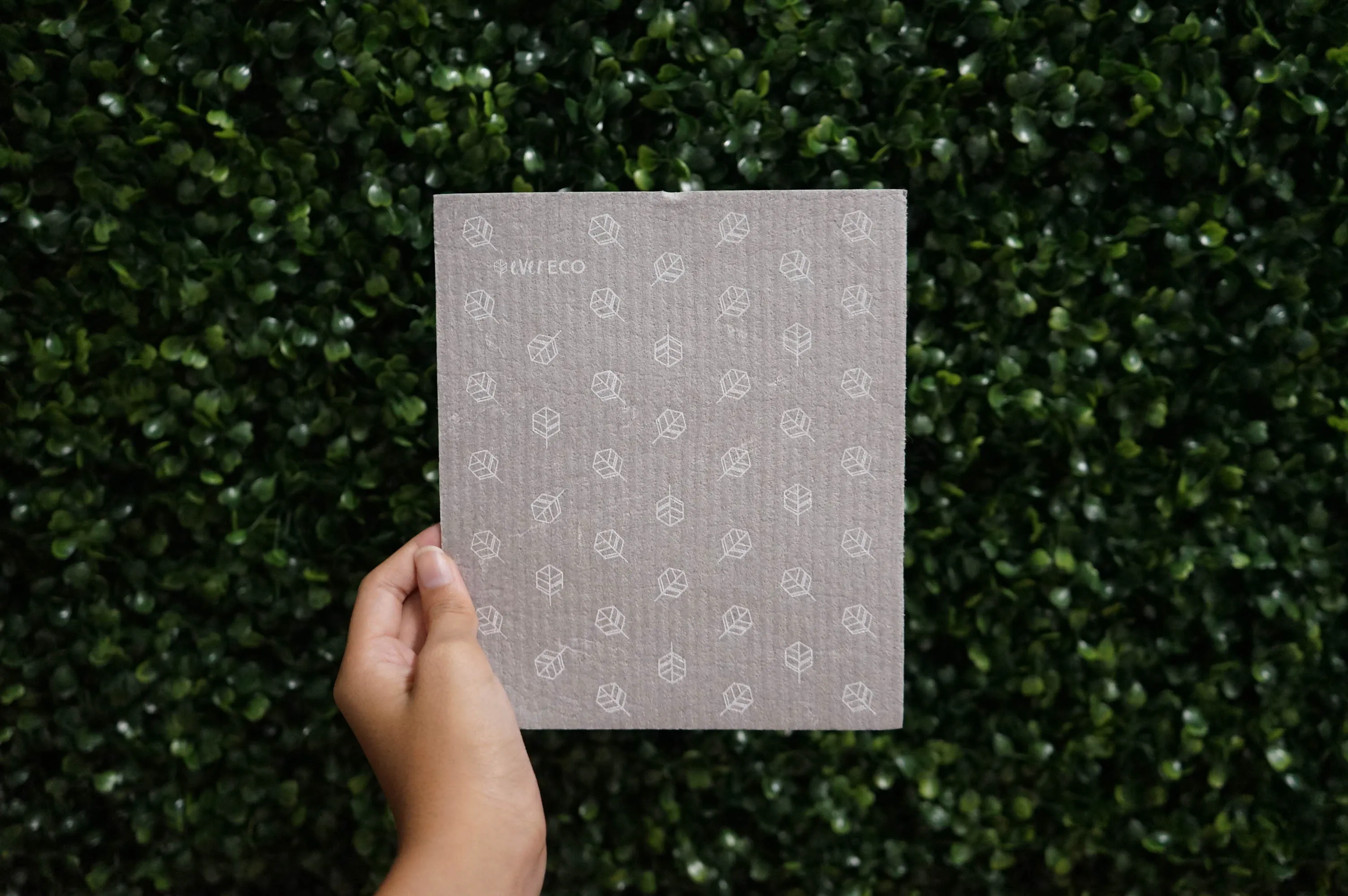 Sponge Cloth - LM