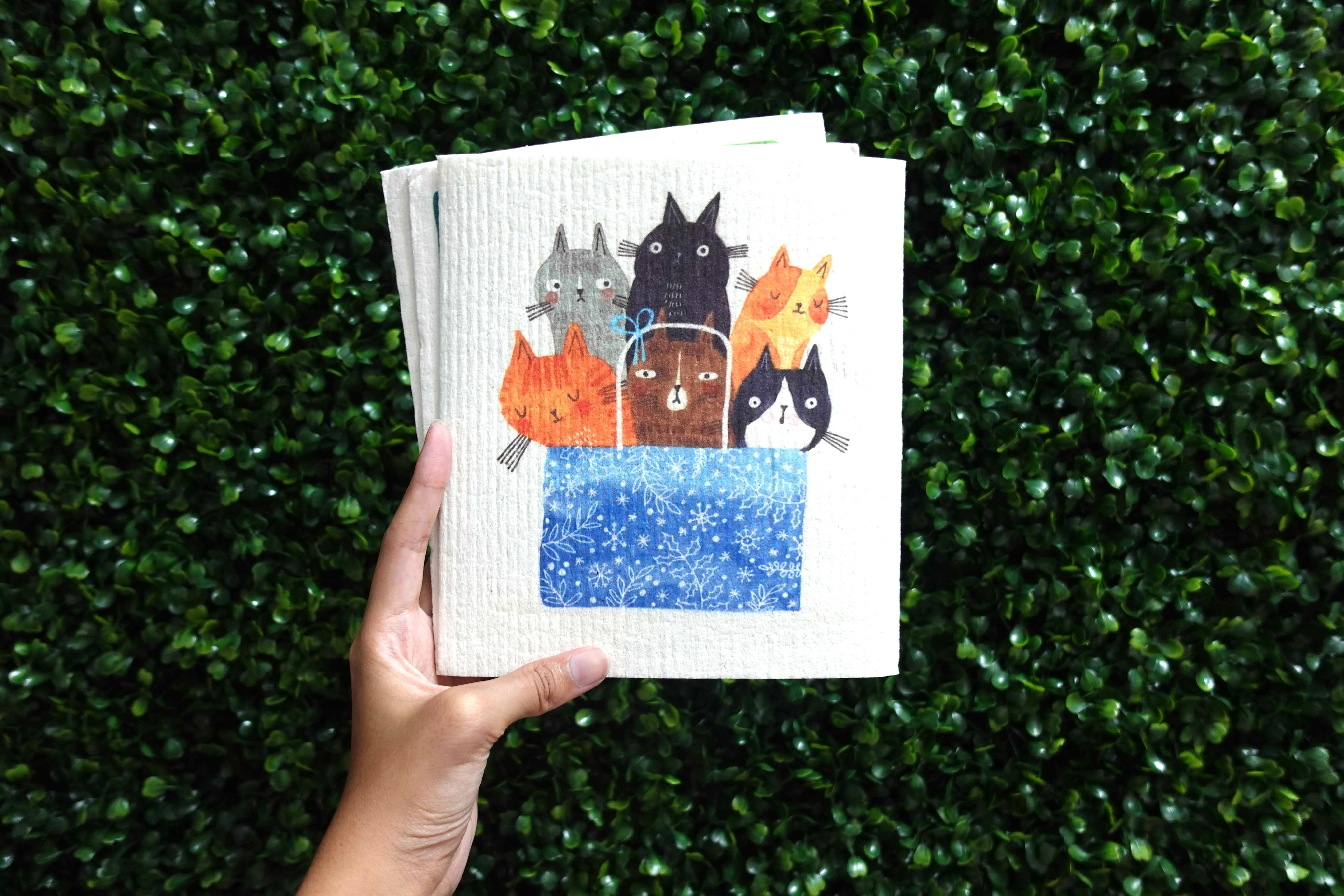 Sponge Cloth - LM