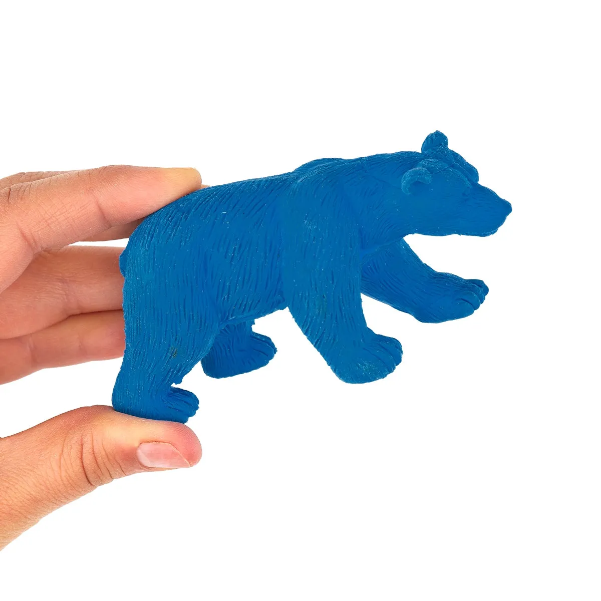 The Zoo Animal Eraser - Various Animals