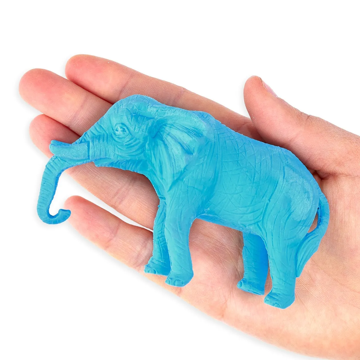 The Zoo Animal Eraser - Various Animals