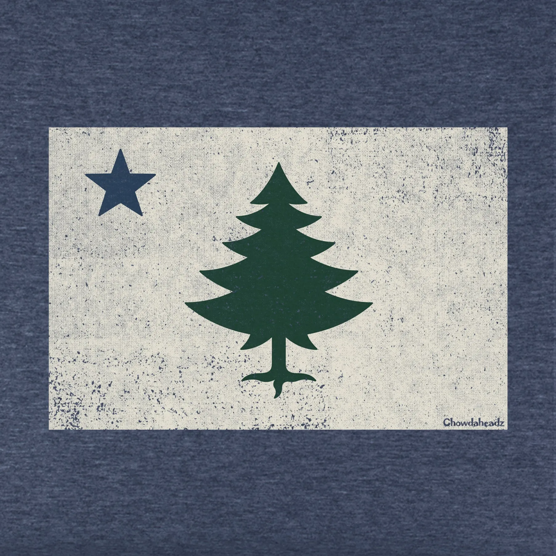 Vintage Maine Flag Youth Hoodie