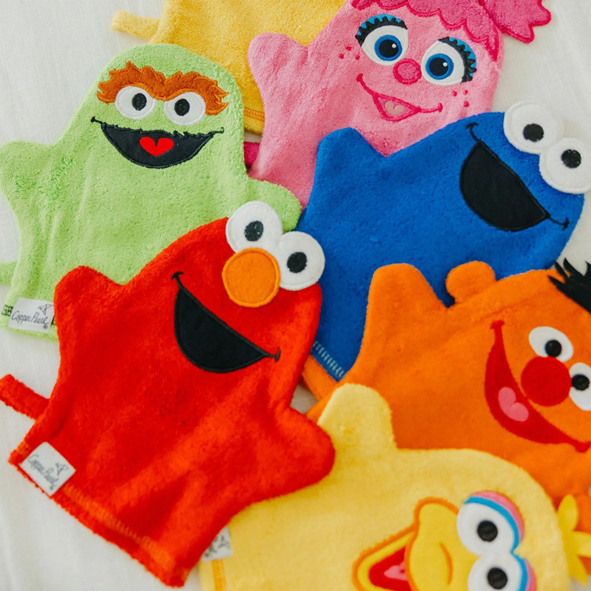 Wash Mitt - Big Bird